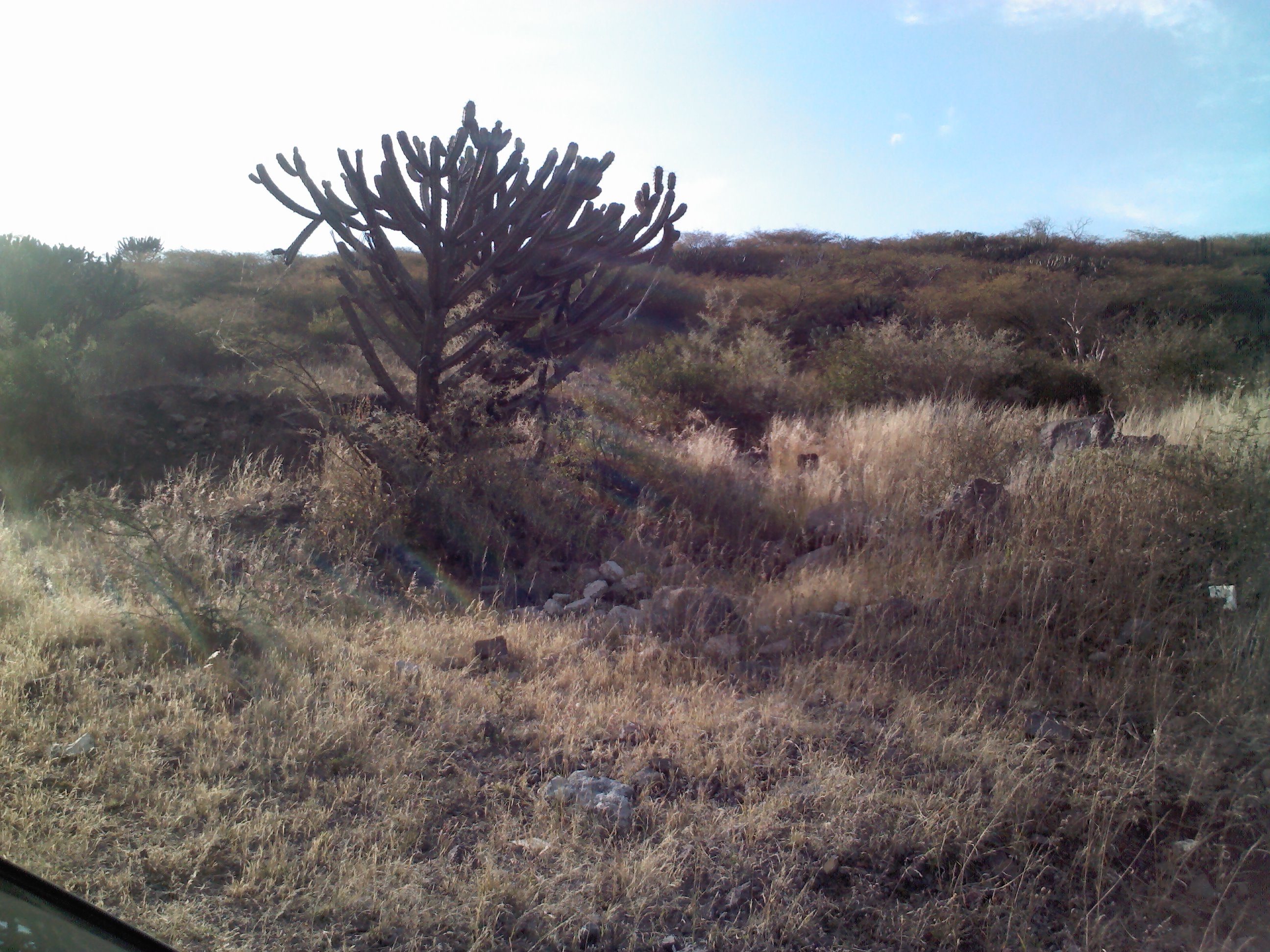 VENDO TERRENO ATRAS DEL PUEBLO DE JURICA, RUSTICO.